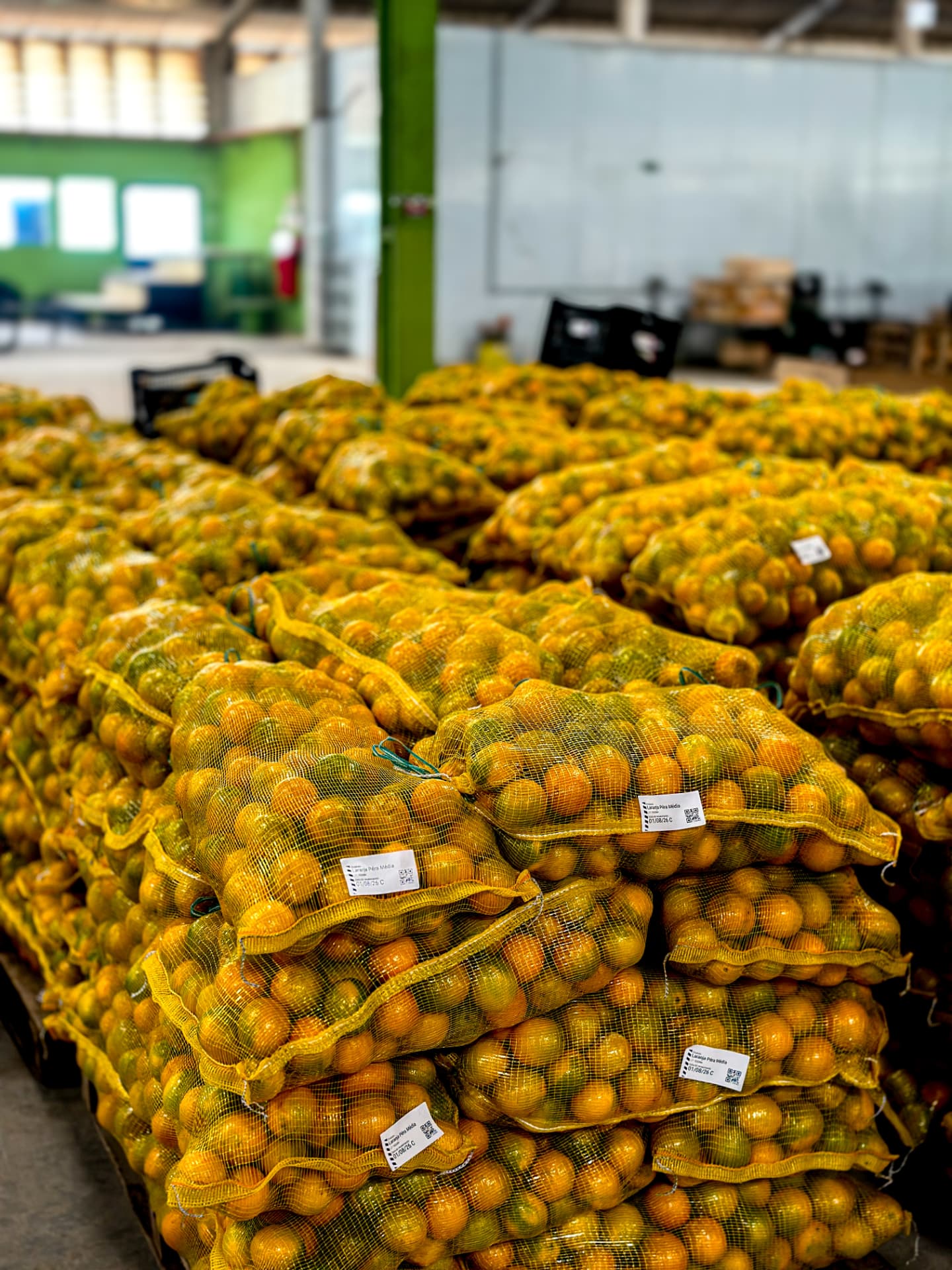 Pallets com sacos de laranja pera rastreados por etiqueta
